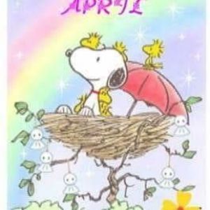 Meet your Posher, Rhonda